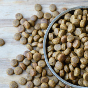 10 anticipated Black Friday 2022 dog food deals