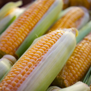 Types of foods to be avoided by Crohn’s disease patients