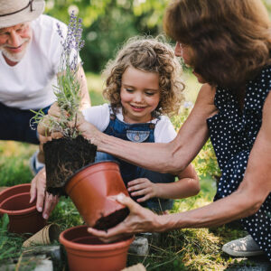 6 common gardening mistakes to avoid