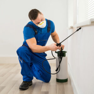 7 common home pest control mistakes
