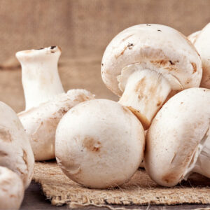 5 human foods that are toxic for dogs