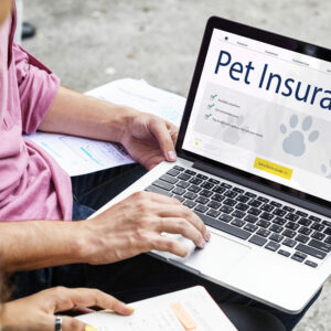 9 common mistakes to avoid before buying pet insurance